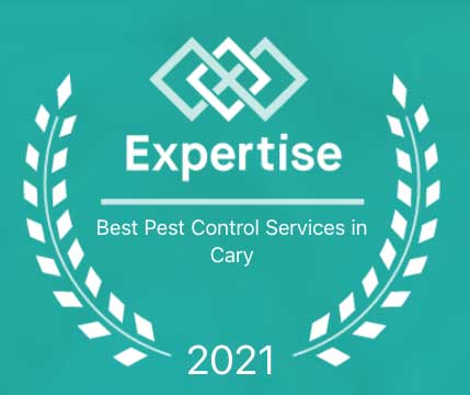 Alexander Exterminating Best Pest Control