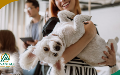 Essential Tips For Keeping Your Pets Safe This Summer