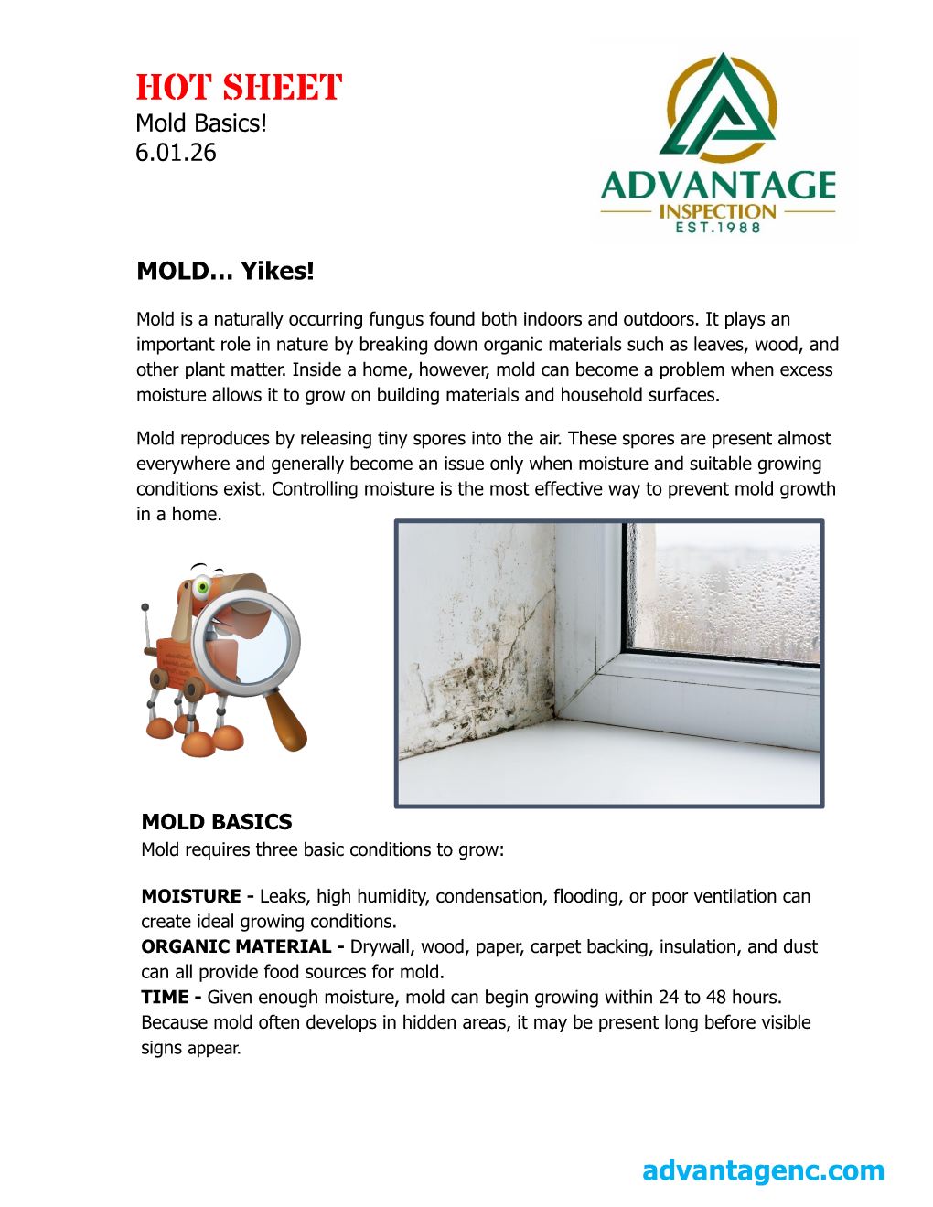 Mold Basics by Advantage Inspection